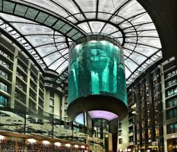“Como seguro que te gustan los hoteles de lujo, hoy te vamos a mostrar uno que además, tiene una peculiaridad enorme. Te hablamos del Radisson Blu Hotel de Berlin, un hotel de cinco estrellas que posee el acuario cilíndrico más grande del mundo.”