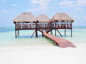 “Son el paraíso para quienes no conciben otras vacaciones que no sean junto al mar y pisando arena, destinos donde se multiplican palmeras lánguidas y el sol es una constante.”