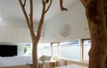 "decoración original con un verdadero árbol dentro de casa"