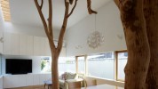 "decoración original con un verdadero árbol dentro de casa"