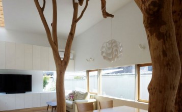 "decoración original con un verdadero árbol dentro de casa"