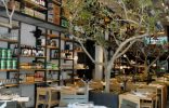 "Restaurante Cuines, mix de culturas en Polanco - México DF - un proyecto de Sandra Tarruella Interioristas para el grupo En Compañía de Lobos"
