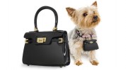 "Un lujoso bolso de marca puede ser una atrevida declaración de moda, y aun más si su perro también llevará una réplica en miniatura de tu bolso."