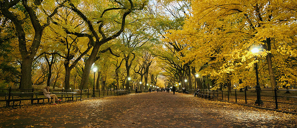 "El otoño es uno de los mayores espectáculos de la naturaleza y uno de los menos apreciados."