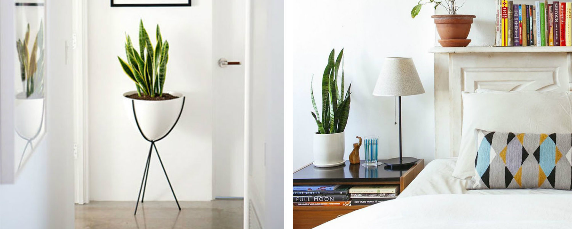 Ideas para Decorar: Tendencias para tú Habitacíon
